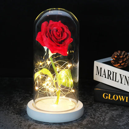 Rose Éternelle sous Dôme en Verre LED 