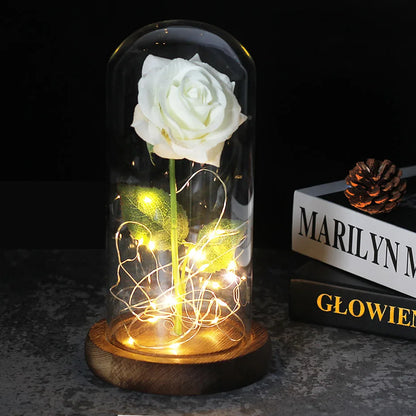 Rose Éternelle sous Dôme en Verre LED 
